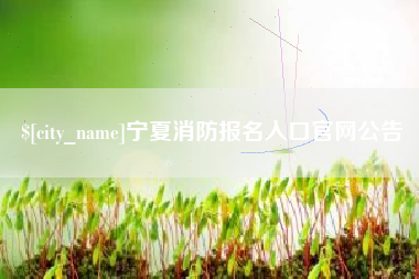 遂宁宁夏消防报名入口官网公告