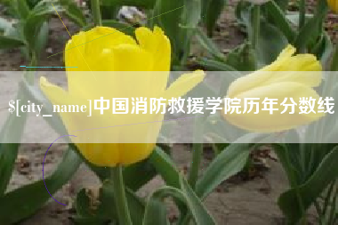 遂宁中国消防救援学院历年分数线
