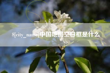 遂宁中国地图空白框是什么