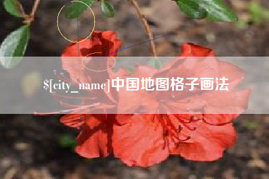 遂宁中国地图格子画法