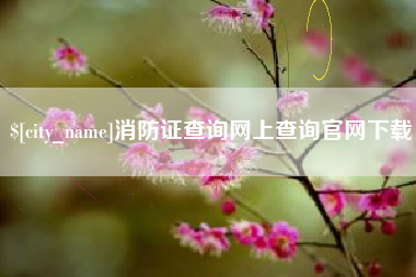 遂宁消防证查询网上查询官网下载