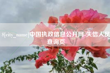 遂宁中国执政信息公开网-失信人员查询页
