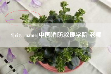 遂宁中国消防救援学院 老师