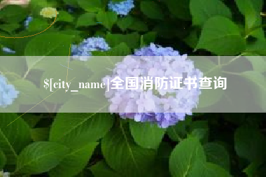 遂宁全国消防证书查询
