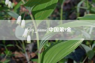 遂宁中国第9金