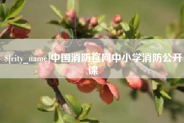 遂宁中国消防官网中小学消防公开课