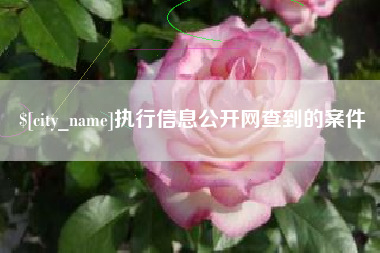 遂宁执行信息公开网查到的案件