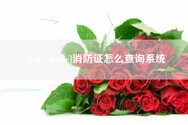 遂宁消防证怎么查询系统