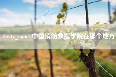 遂宁中国消防救援学院在那个地方