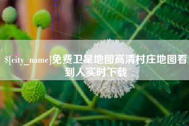 遂宁免费卫星地图高清村庄地图看到人实时下载