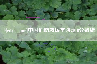 遂宁中国消防救援学院2018分数线