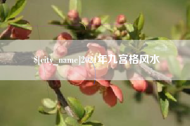 遂宁2021年九宫格风水