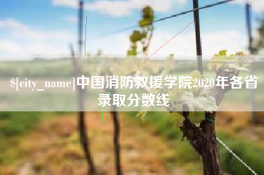 遂宁中国消防救援学院2020年各省录取分数线