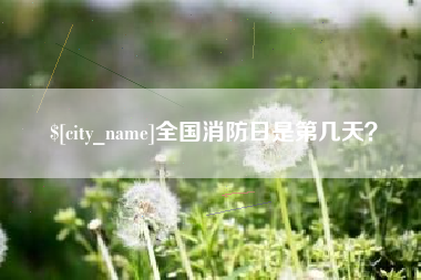 遂宁全国消防日是第几天？