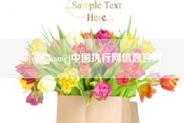 遂宁中国执行网信息官网
