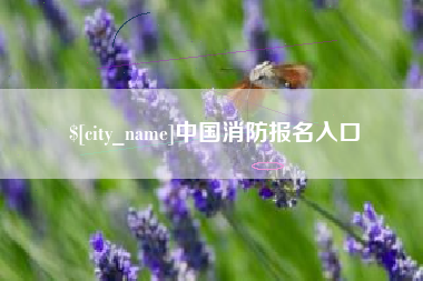 遂宁中国消防报名入口