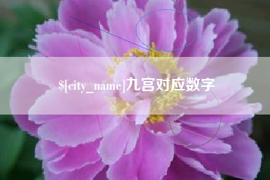 遂宁九宫对应数字