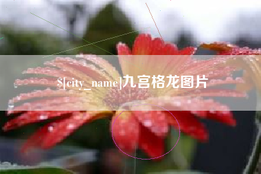 遂宁九宫格龙图片