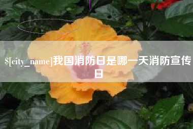 遂宁我国消防日是哪一天消防宣传日
