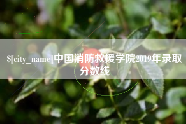 遂宁中国消防救援学院2019年录取分数线