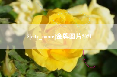 遂宁金牌图片2021