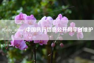 遂宁中国执行信息公开网平台维护