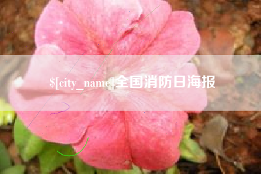 遂宁全国消防日海报