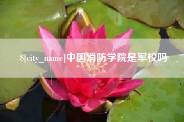 遂宁中国消防学院是军校吗