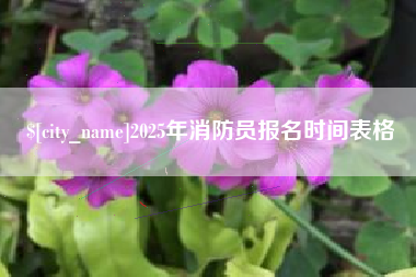 遂宁2025年消防员报名时间表格