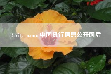 遂宁中国执行信息公开网后