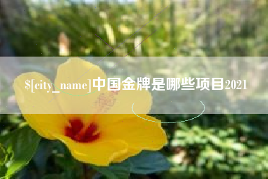 遂宁中国金牌是哪些项目2021