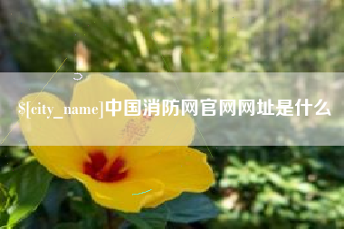 遂宁中国消防网官网网址是什么