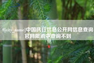 遂宁中国执行信息公开网信息查询官网限消中查询不到