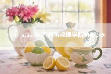 遂宁中国消防救援学院分数2020
