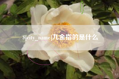 遂宁九金指的是什么