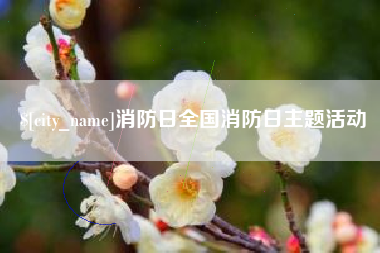 遂宁消防日全国消防日主题活动