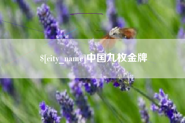 遂宁中国九枚金牌