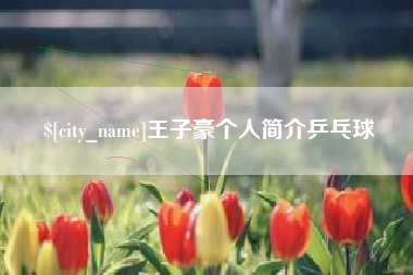 遂宁王子豪个人简介乒乓球