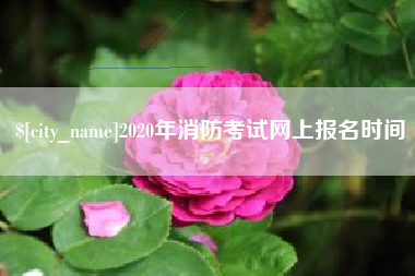 遂宁2020年消防考试网上报名时间