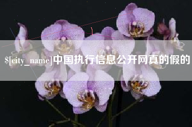 遂宁中国执行信息公开网真的假的