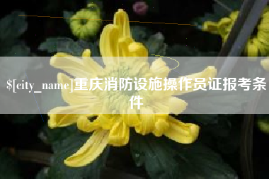 遂宁重庆消防设施操作员证报考条件