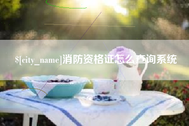 遂宁消防资格证怎么查询系统