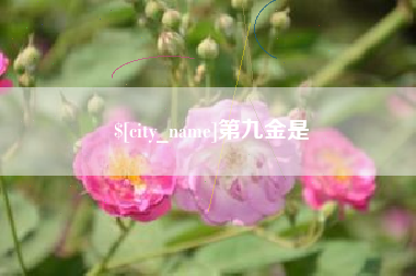 遂宁第九金是