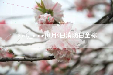 遂宁11月9日消防日全称