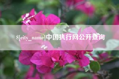 遂宁中国执行网公开查询