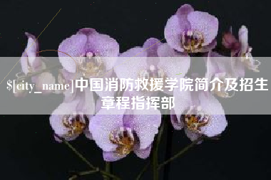 遂宁中国消防救援学院简介及招生章程指挥部