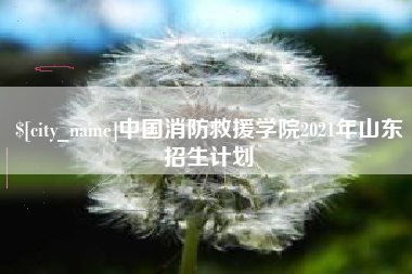 遂宁中国消防救援学院2021年山东招生计划