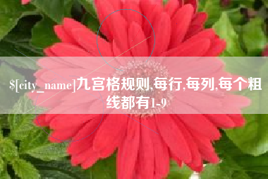 遂宁九宫格规则,每行,每列,每个粗线都有1-9
