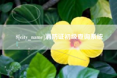 遂宁消防证初级查询系统