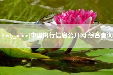 遂宁中国执行信息公开网 综合查询